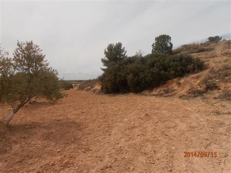 albacete land for sale|727 Lands for Sale in Albacete .